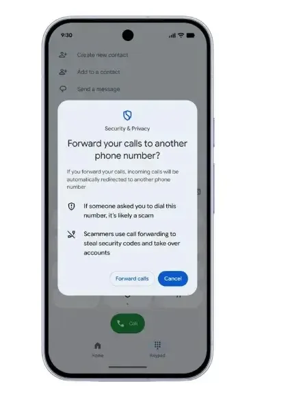 Proactive call-forwarding protection (Source: google)