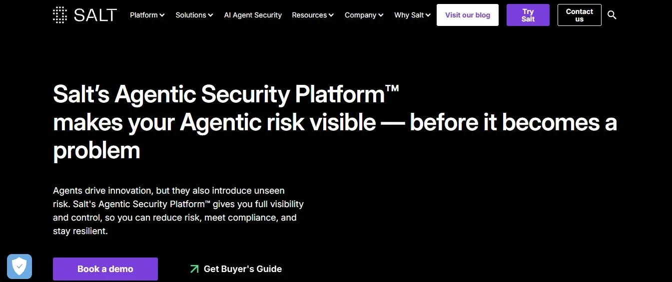 Salt Security — Best Behavioral Runtime