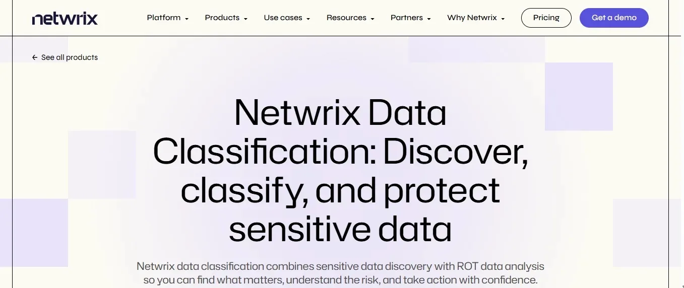 Netwrix — Best Mid-Market Pragmatism